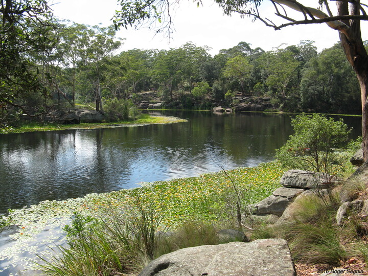 Lake Parramatta