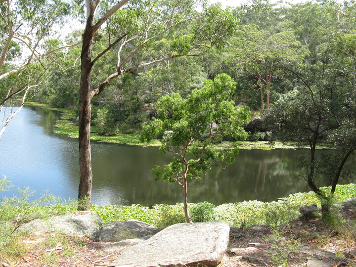 Lake Parramatta
