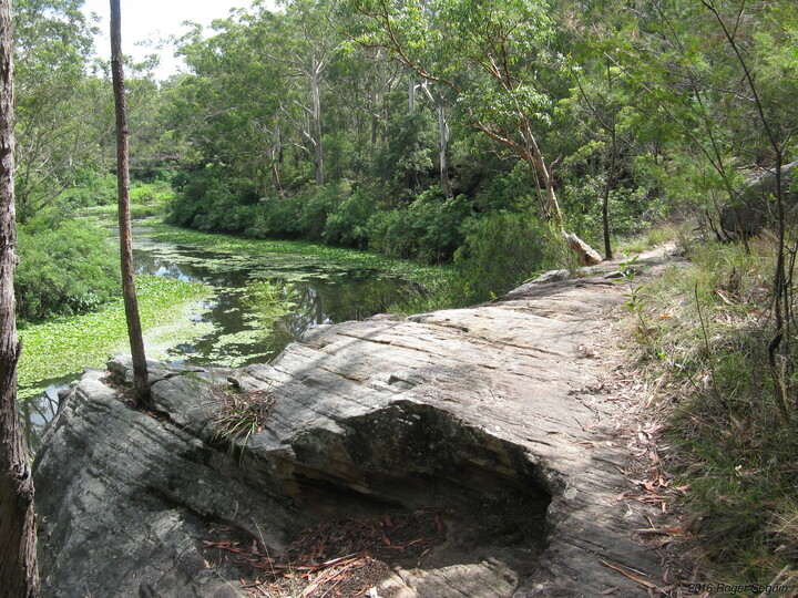 Lake Parramatta