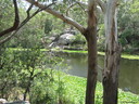 Lake Parramatta