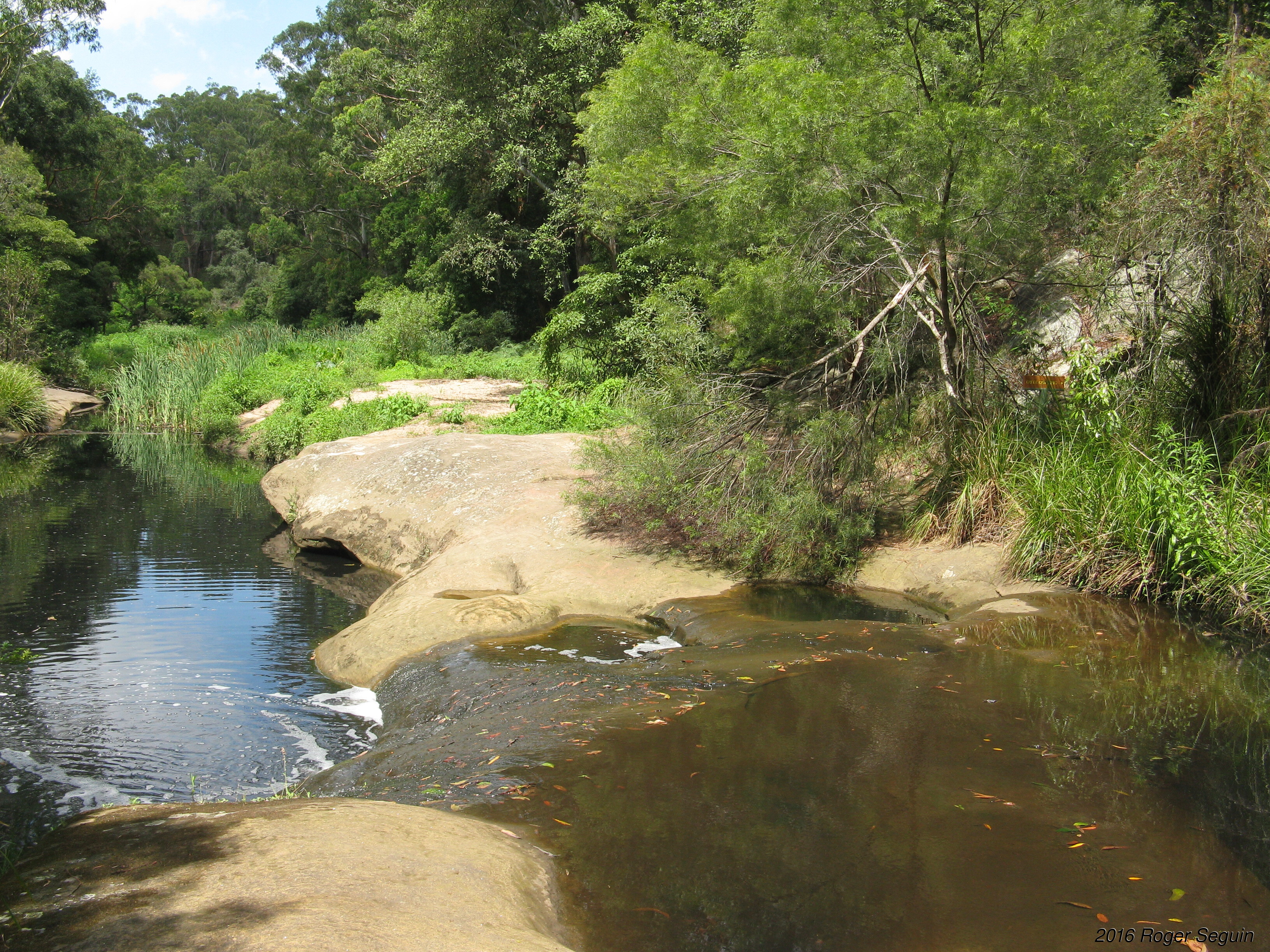 Lake Parramatta