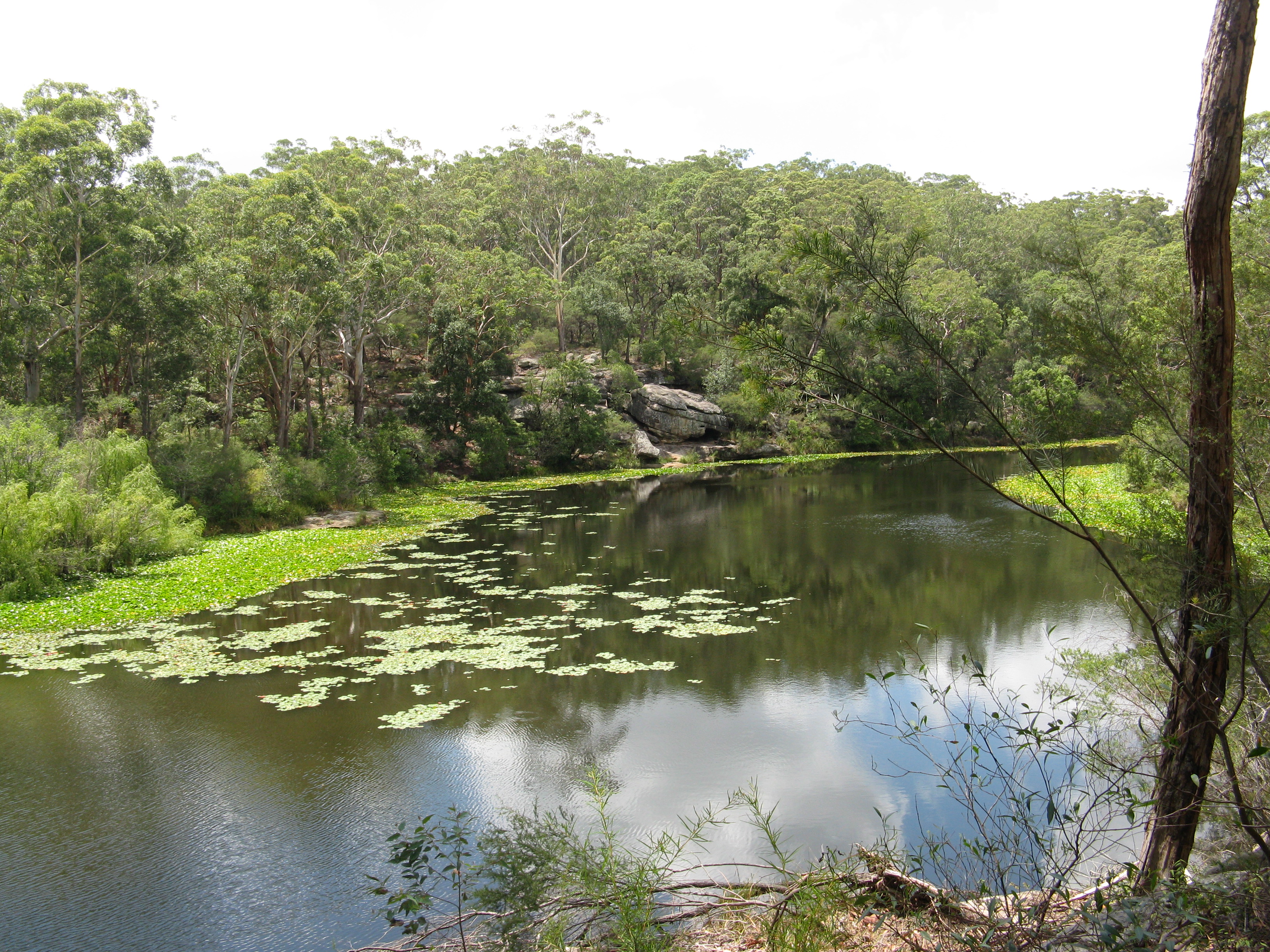 Lake Parramatta