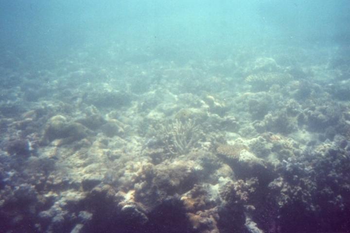 GreatBarrierReef
