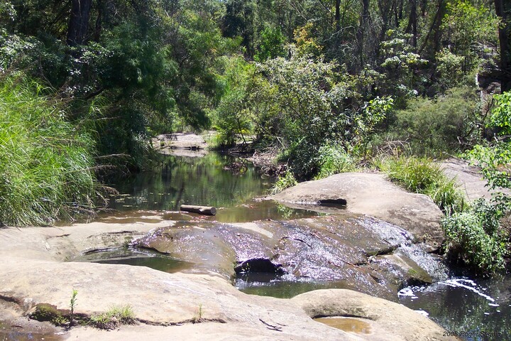 LakeParramattaReserve, NSW, Australia