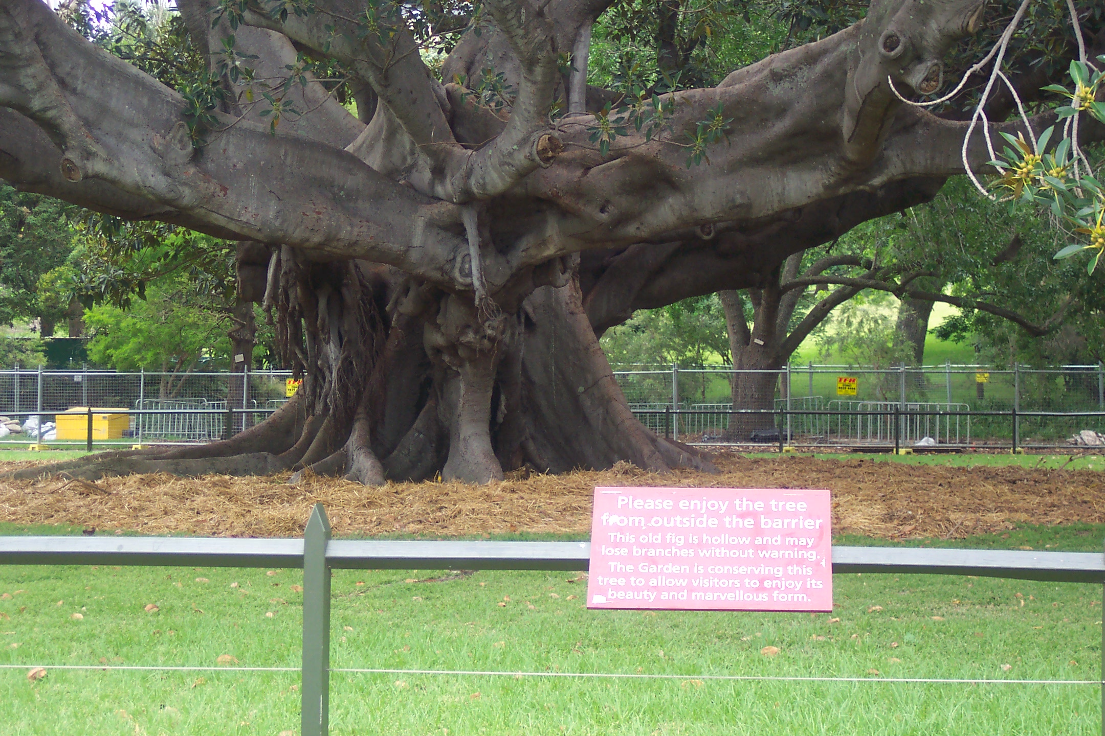 RoyalBotanicGardens, Sydney, Australia