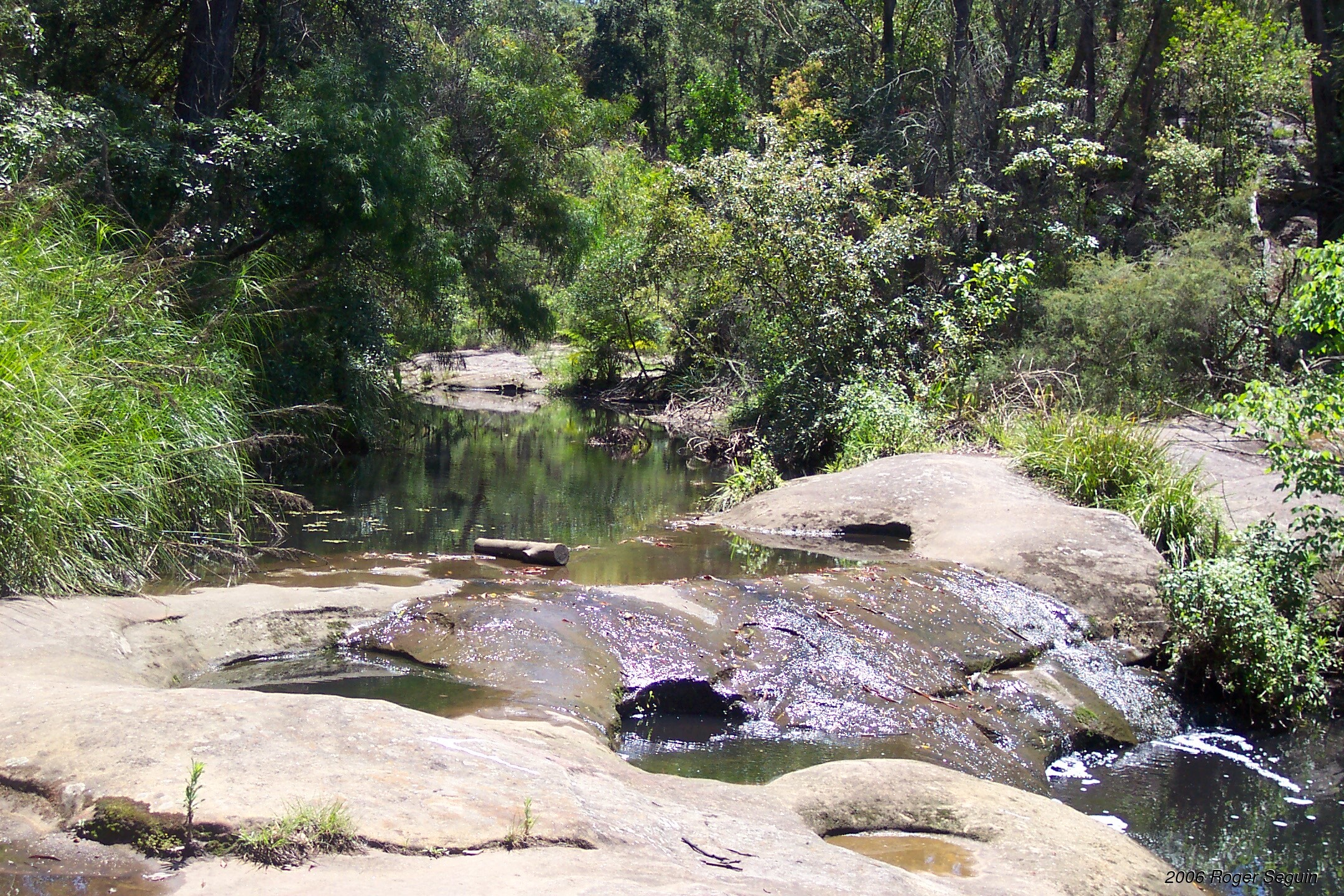 LakeParramattaReserve, NSW, Australia