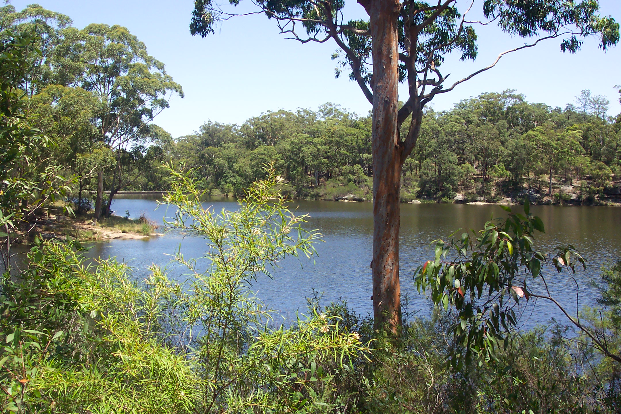 LakeParramattaReserve, NSW, Australia