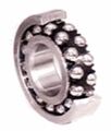 4-Deep-Groove-Double-Row-Ball-Bearing.jpg